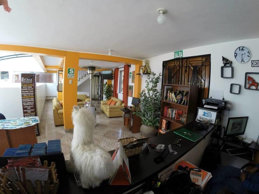 Cuscopackers Hostels Ngoại thất bức ảnh