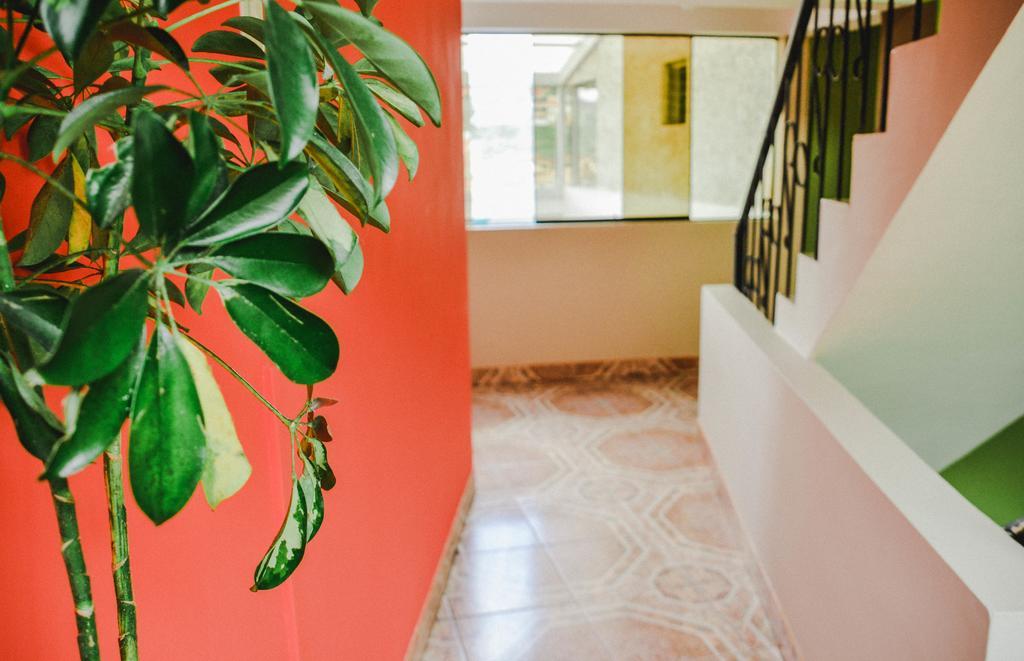 Cuscopackers Hostels Ngoại thất bức ảnh